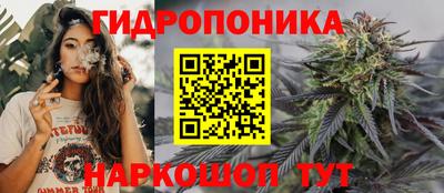 apvp Краснознаменск