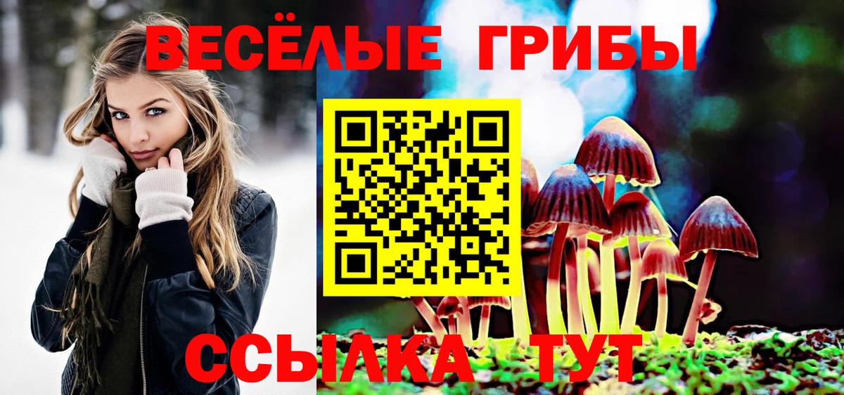 Галлюциногенные грибы GOLDEN TEACHER  Вход с VPN  Галлюциногенные грибы ЛСД  Грязи 